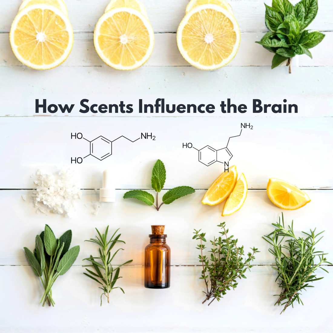 Serotonin & Dopamine: How Essential Oils Influence Mood and Brain Chemistry