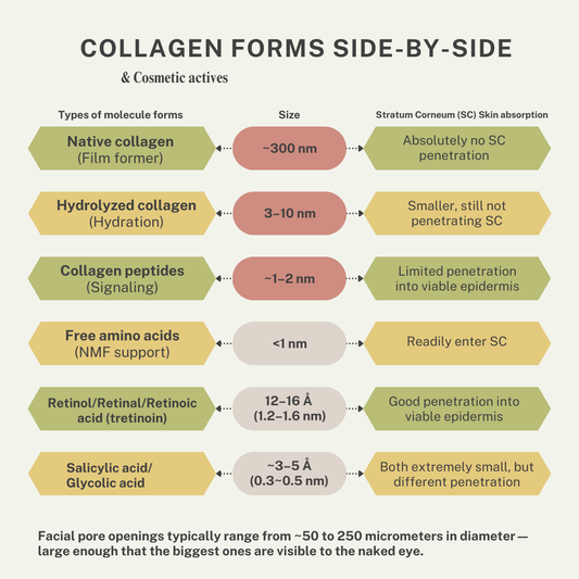 Table information of collagen, peptide, retinol, and acid