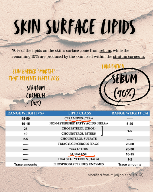 Skin Barrier: What It Is and How to Actually Take Care of It