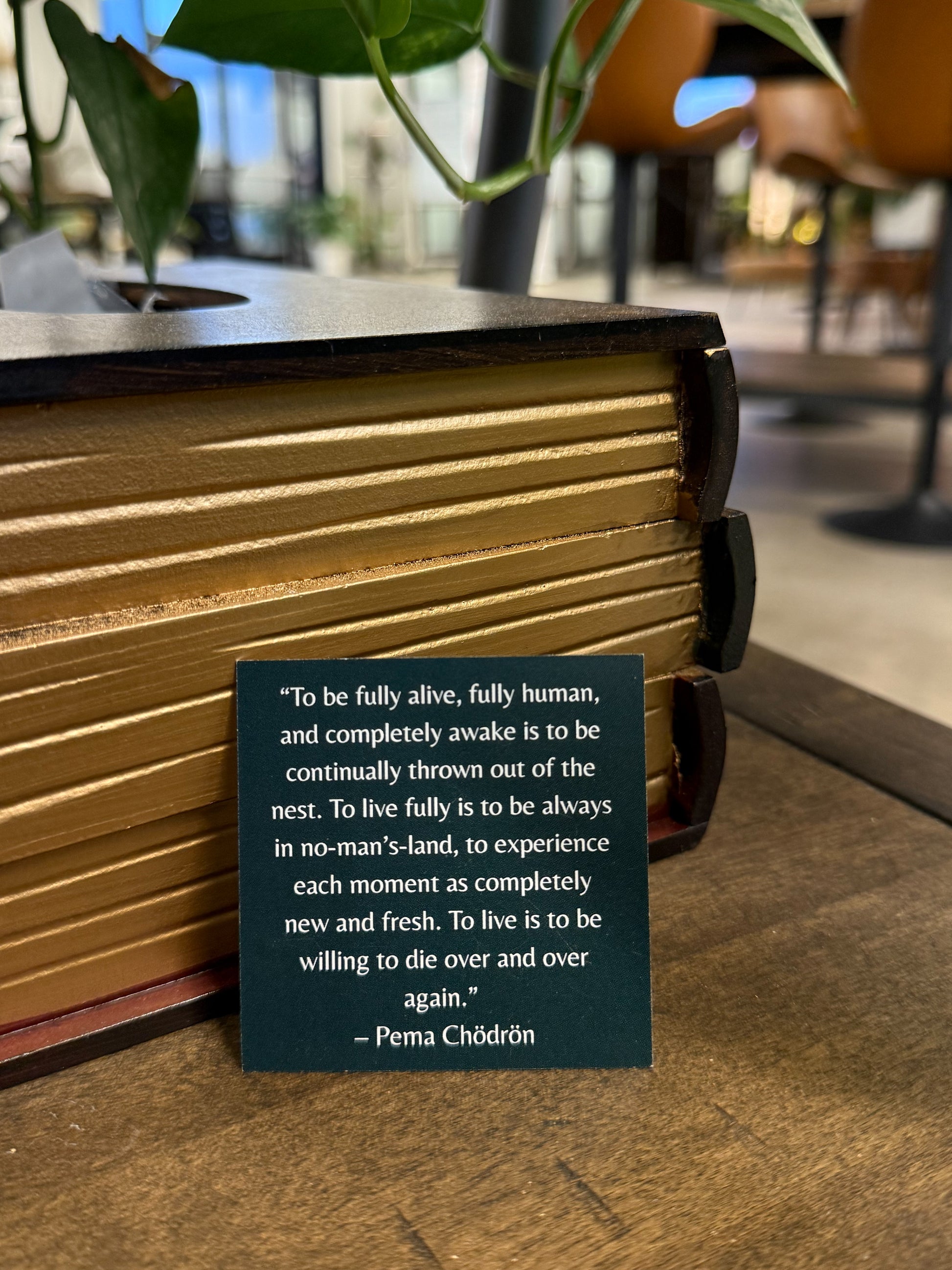 Book with a quote by Pema Chödrön quote on a wooden surface