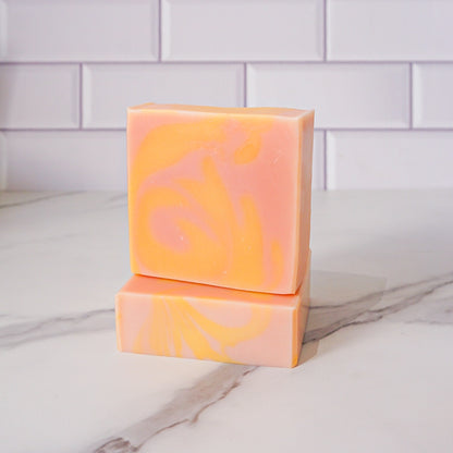 2 Soaps + Soap Dish + Exfoliating Towel Gift Bundle | Holiday Limited Edition