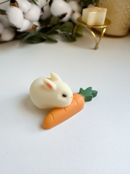 Easter Bunny & Carrot