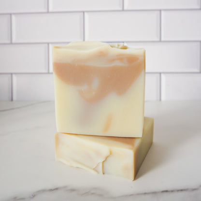 2 Soaps + Soap Dish + Exfoliating Towel Gift Bundle | Holiday Limited Edition