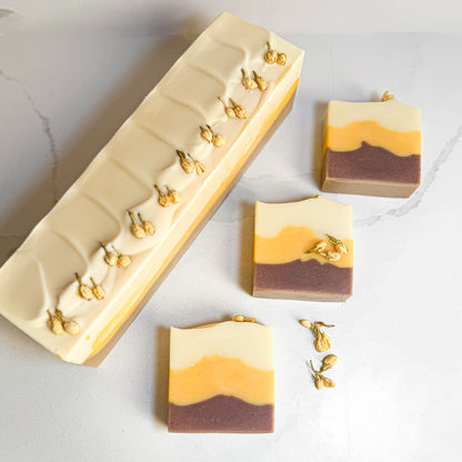 Coconut Orange Soap - Spring Limited Edition